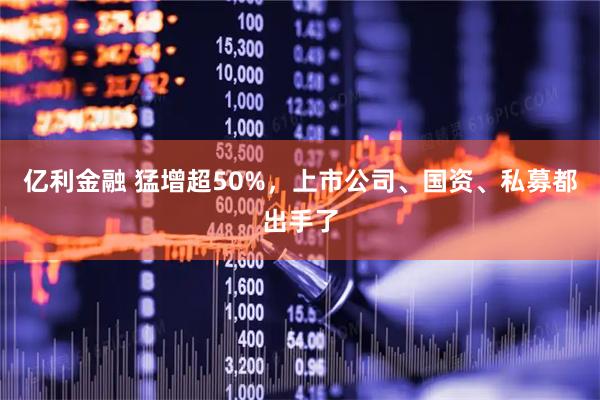 亿利金融 猛增超50%，上市公司、国资、私募都出手了