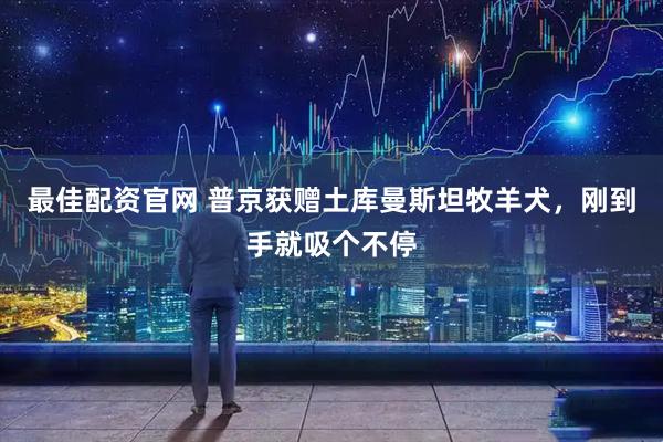 最佳配资官网 普京获赠土库曼斯坦牧羊犬，刚到手就吸个不停